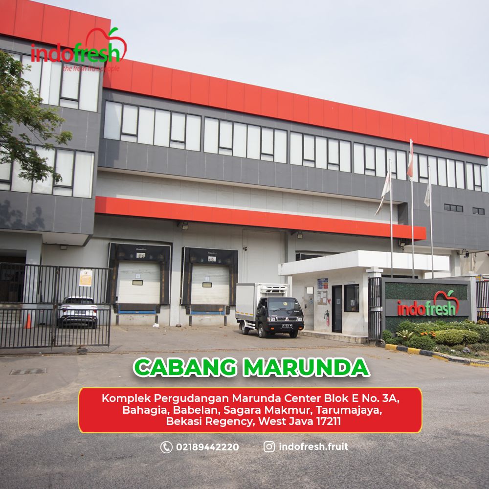 indofresh marunda