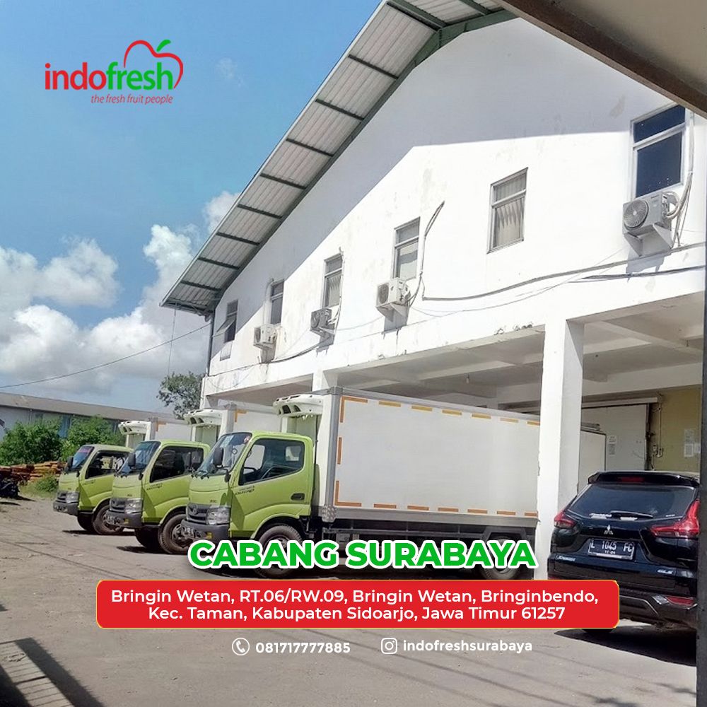 indofresh surabaya